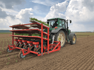 Semis - Planteuses - Planteuse repiqueuse