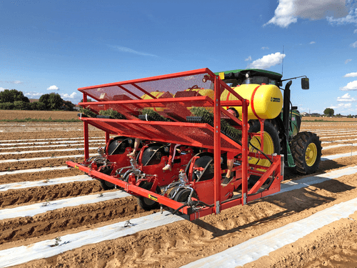 Semis - Planteuses - Planteuse repiqueuse