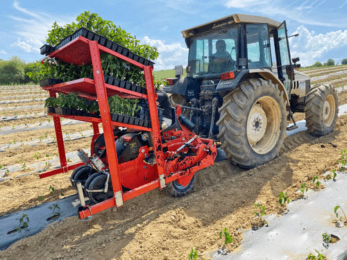 Semis - Planteuses - Planteuse repiqueuse