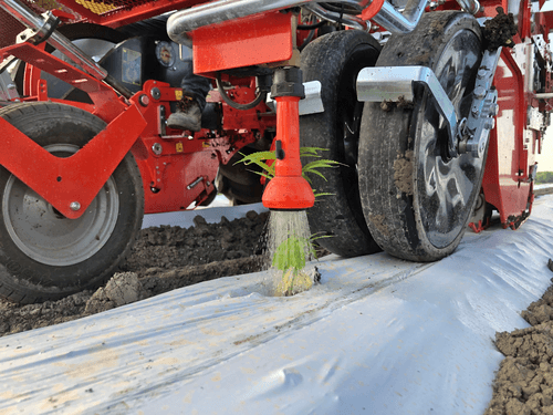 Semis - Planteuses - Planteuse repiqueuse
