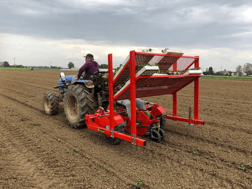 Semis - Planteuses - Planteuse repiqueuse