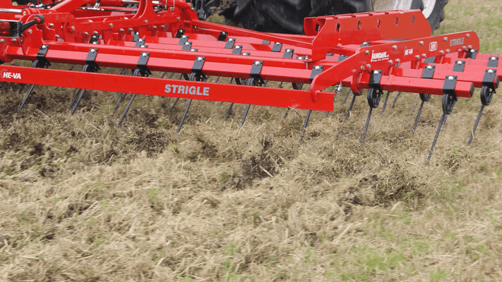 Entretien - Herse prairie, herse étrille - Herse étrille polyvalente TOP STRIGLE