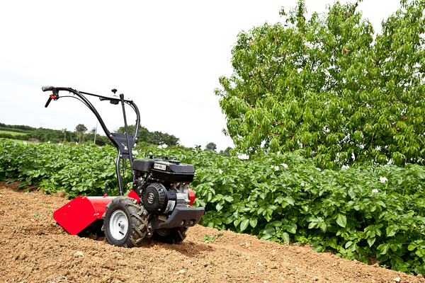 Terre - Motobineuses - Motobineuse à fraises arrière ROTO 404 HD